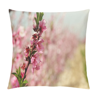 Personality  Blossoming Cherry Branches Pillow Covers