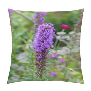 Personality  Color Outdoor Nature Image Of  A Single Violet Liatris / Blazing Star Blossom On Natural Garden Meadow Background Taken On A Bright Sunny Summer Day  Pillow Covers