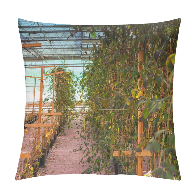 Personality  Plants In The Greenhouse      Pillow Covers