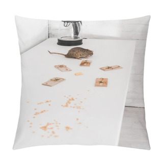 Personality  Small Rat Near Mousetraps With Cube Of Cheese Near Kettle On Table  Pillow Covers