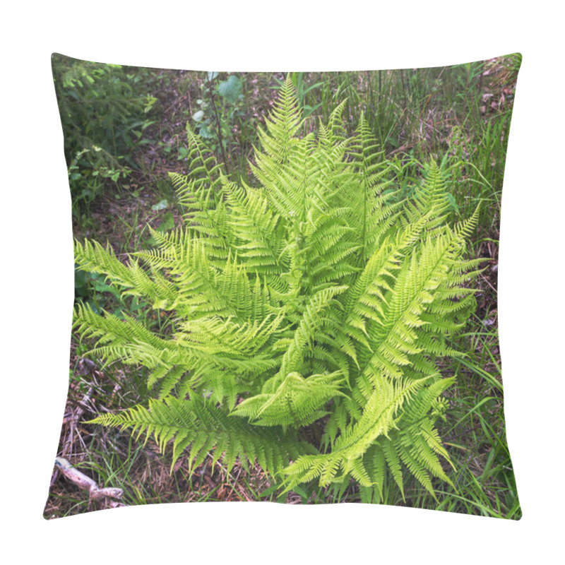 Personality  fern green in forest summer pillow covers
