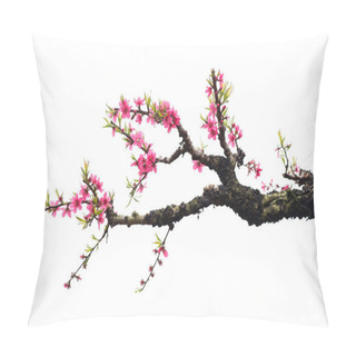 Personality   Shot Of Pink Blossoms Pillow Covers