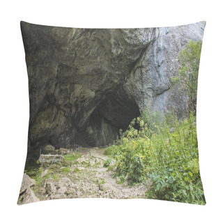 Personality  Shulgan Tash  Cave. The Kapova Cave. Republic Of  Bashkortostan In The Southern Ural Mountains Of Russia. Pillow Covers