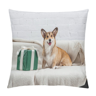 Personality  Cute Pembroke Welsh Corgi Dog On Sofa With Green Gift Looking At Camera Pillow Covers