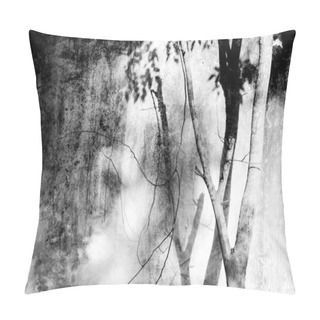 Personality  Leaves  Shadow On The Wall  , Outdoor  Chiangmai  Thailand Pillow Covers