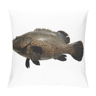Personality  Fresh Fish On The White Background Pillow Covers