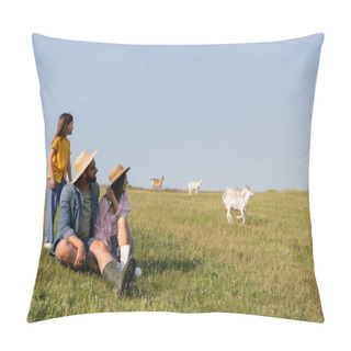 Personality  Smiling Farmers Looking At Goats Grazing In Green Meadow Under Blue Sky Pillow Covers