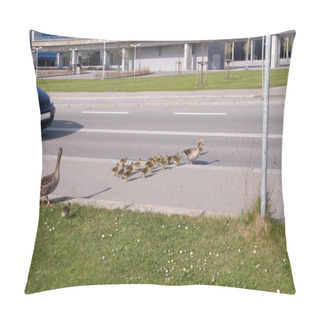 Personality  Wild Goose, Grey Goose (Anser Anser) Pillow Covers