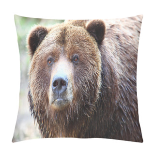 Personality  Brown Grizzly Bear Pillow Covers
