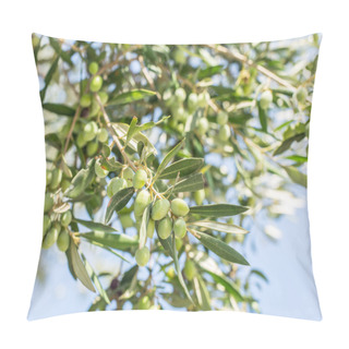 Personality  Branch Of Olive Tree With Berries On It. Closeup. Pillow Covers