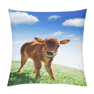 Personality  Calf Pillow Covers