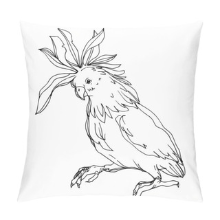 Personality  Vector Sky Bird Cockatoo In A Wildlife Isolated. Black And White Engraved Ink Art. Isolated Parrot Illustration Element. Pillow Covers