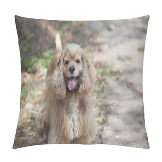 Personality  American Cocker Spaniel On A Walk In The Autumn Park Pillow Covers
