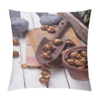 Personality  Bulb Of Spring Flowers Crocuses Pillow Covers