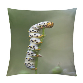 Personality  What Would Be A  Butterfly Caterpillar Eats A Lot. Pillow Covers