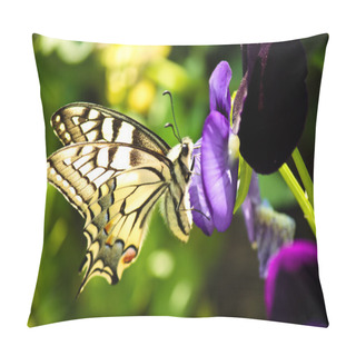 Personality  Closeup Of A Butterfly Pillow Covers