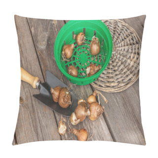 Personality  Baskets For Planting Bulbs Pillow Covers