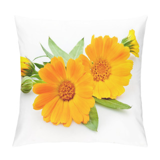Personality  Calendula. Flowers With Leaves Isolated On White Pillow Covers