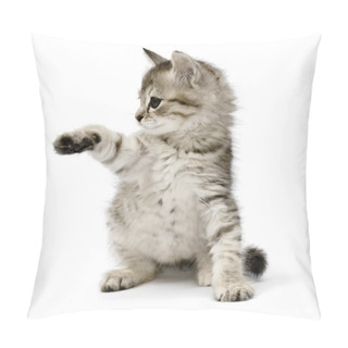 Personality  Kitten Pillow Covers