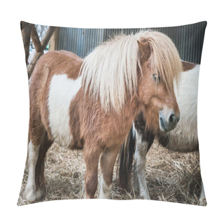 Personality  Brown Miniature Horse With Long Hair Pillow Covers
