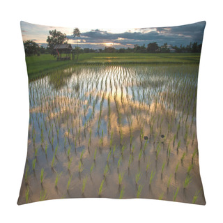 Personality  Rice Field Pillow Covers
