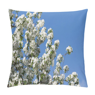 Personality  Beautiful White Apple Blossom Pillow Covers