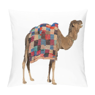 Personality  Camel On White Pillow Covers