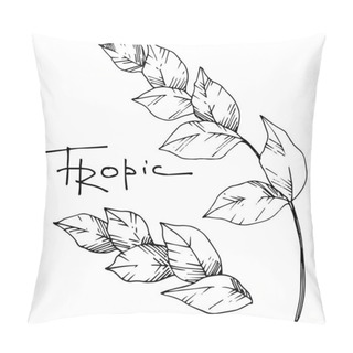 Personality  Vector Palm Beach Tree Leaves Jungle Botanical. Black And White Engraved Ink Art. Isolated Leaf Illustration Element. Pillow Covers