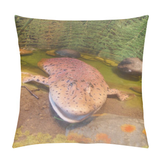 Personality  Tiktaalik Roseae - Evolution To Life On Land Pillow Covers