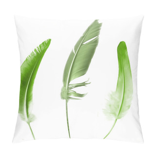 Personality  Beautiful Color Feathers Isolated On White Background Pillow Covers