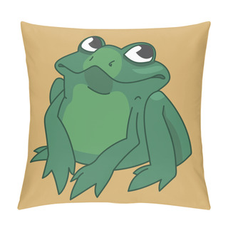 Personality  Drawing Funny Frog Pillow Covers