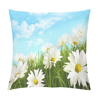 Personality  White Summer Daisies In Tall Grass Pillow Covers