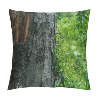 Personality  Close-up Shot Fo Cracked Tree Bark In Forest Pillow Covers