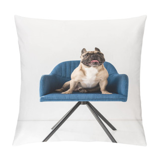 Personality  French Bulldog Sitting On Chair  Pillow Covers