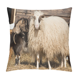 Personality  Heep And Goats On Pasture Pillow Covers