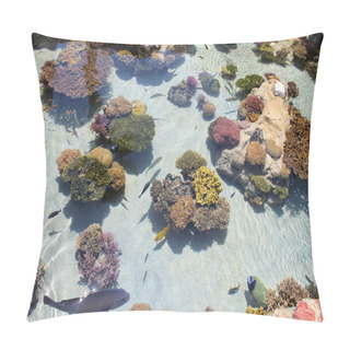 Personality  Beautiful Underwater World - Corals Of Red Sea & Exotic Fishes Pillow Covers