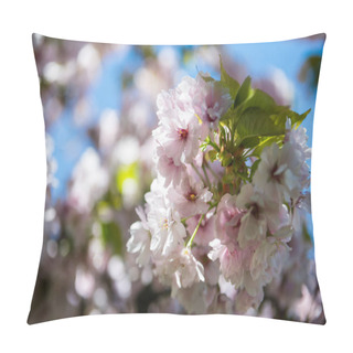 Personality  Selective Focus Of Flowers On Branches Of Cherry Blossom Tree  Pillow Covers