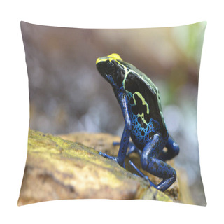 Personality  Blue Dyeing Dart Frog (Dendrobates Tinctorius). Tropical Frog Living In South America. Pillow Covers