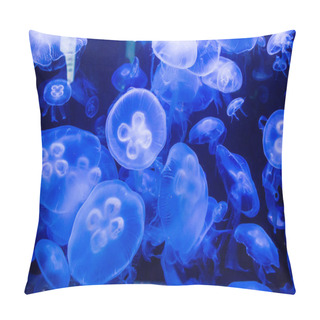 Personality  Moon Jellyfish In Blue Water Pillow Covers