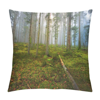 Personality  A Scene In A Dark Misty Pine Forest  Pillow Covers