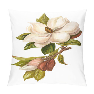 Personality  Magnolia On A White Background. Watercolor Painted Flower. Isolated Flower On A White Background. Magnolia Handmade Graphics. Botanical Plant. Flower Illustration. Pillow Covers