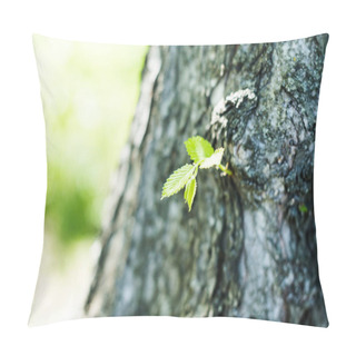 Personality  Young Green Leaves On Tree Trunk Pillow Covers
