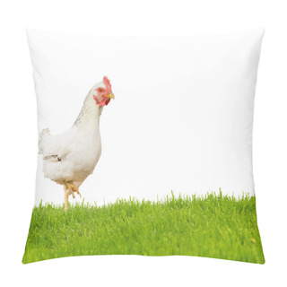 Personality  Hen Isolated Pillow Covers