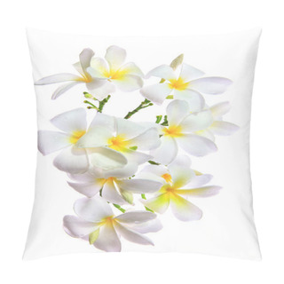 Personality  Close Up White Frangipani  Petal Flowers Bouquet With Fresh Wate Pillow Covers