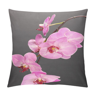 Personality  Beautiful Blooming Orchid On Grey Background Pillow Covers