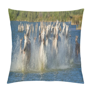 Personality  Horses Running In The Water, Beautiful Purebred Horses In Camargue  Pillow Covers