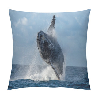 Personality  Humpback Whale Jumping Out Of The Water Pillow Covers