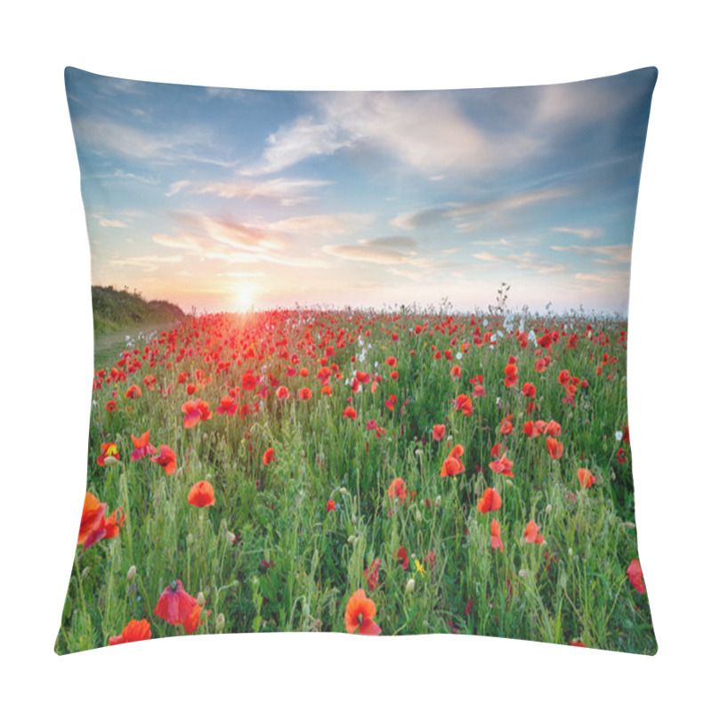 Personality  Poppy Fields In Cornwall Pillow Covers