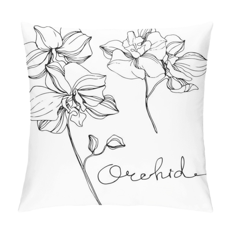 Personality  Vector Orchids. Wildflower isolated on white. Black and white engraved ink art with 'orchid' lettering pillow covers