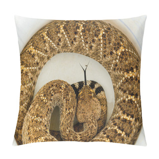 Personality  A Top Of A Western Diamondback Rattlesnake Pillow Covers